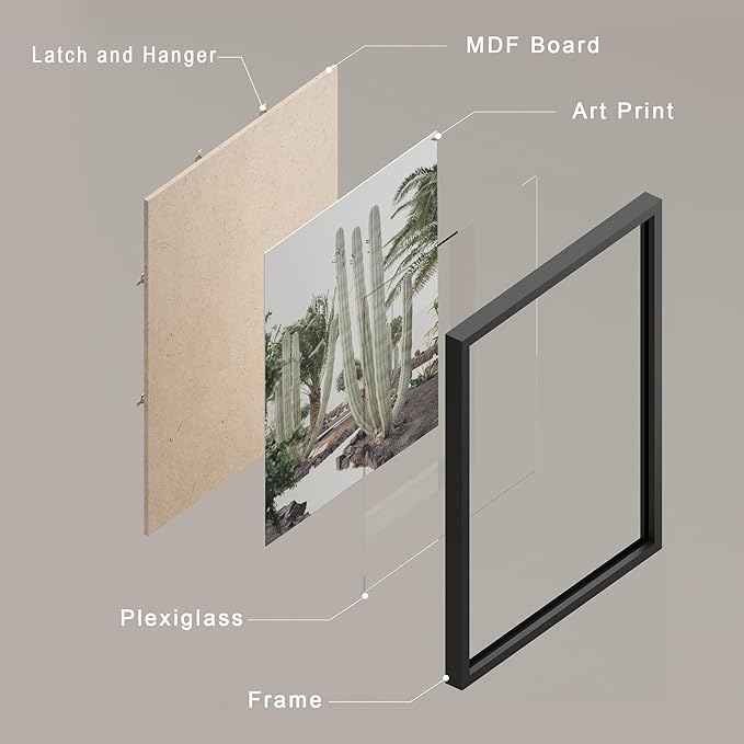SIGNWIN Framed Poster Wall Art Set of Cactus Desert Nature Wilderness for Living Room, Bedroom, Office - 11"x14"x 8 Black