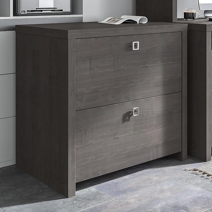 Bush Furniture Lateral File Cabinet with Satin Silver Hardware | Echo Collection 2 Drawer Filing Unit for Home Office or Professional | 31Wx20Lx30H