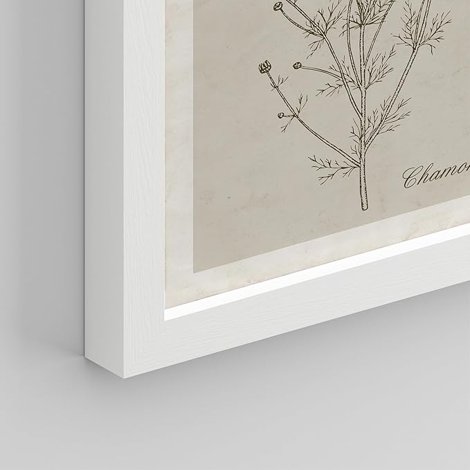 SIGNWIN Framed Poster Wall Art Set of Wildflower, Botanical Floral, Minimalist Decor, Vintage Poster for Living Room, Bedroom, Office - 12"x16"x 8 White