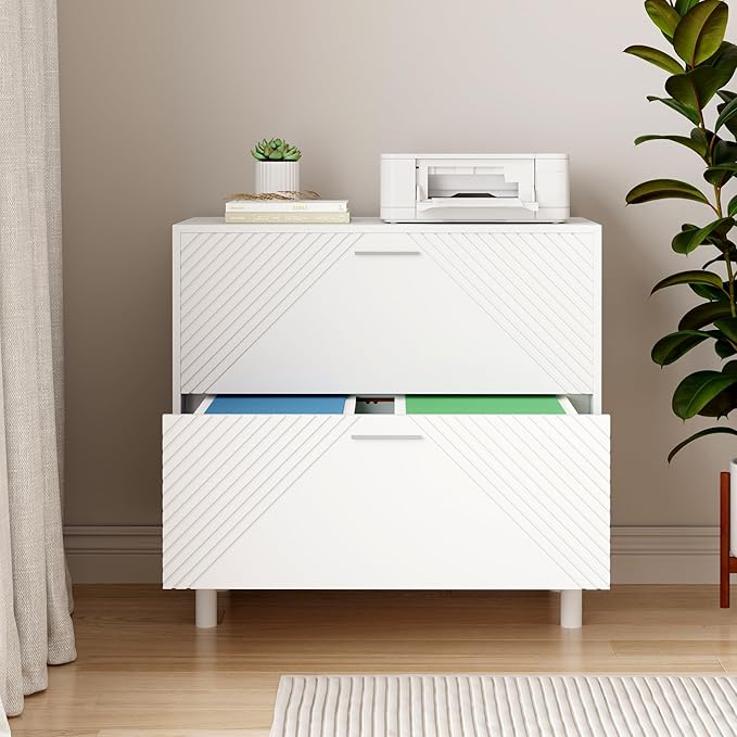 File Cabinet, 2-Drawer Lateral Filing Cabinet Office Storage Cabinet for Home Office,Modern Wood Decorative File Cabinet Printer Storage Cabinet for Letter/A4/F4 Legal Size Documents(style-03)