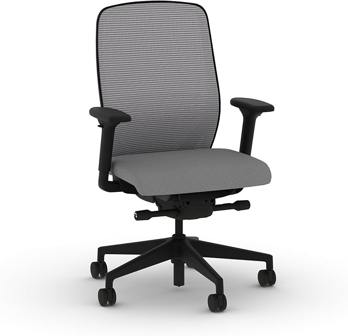 HON Nucleus Task Chair, Advanced Synchro-Tilt Control, Office Chair with Lumbar Support, Height and Width Adjustable Arms, Black Frame, Frost