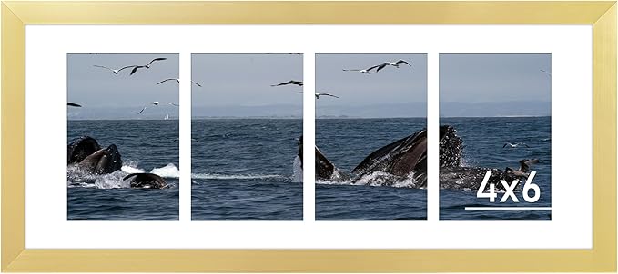 VIOLABBEY 8x20 Collage Picture Frame, Fits Four 4x6 Photos With Mat or One 8x20 Picture Without Mat for Wall Decor, Gold