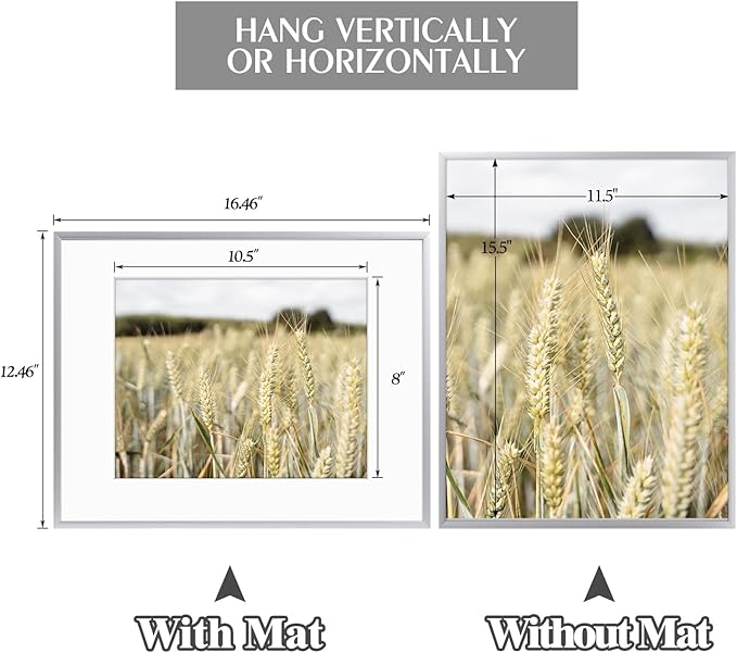 Golden State Art, Gallery Wall Frame Set of 6 - Silver 12x16 Aluminum Photo Frames with Mat for 8.5x11 Pictures - 12 x 16 inch Metal Frame with Real Glass Cover - Elegant Home or Office Decor
