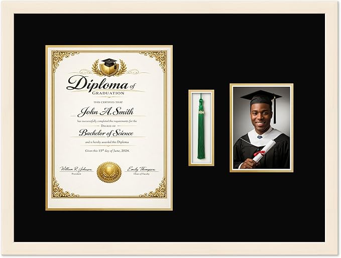 CountryArtHouse Diploma Tassel and Photo Shadowbox Fits 10 x 13 College Diploma (Portrait Traditional Coastal Whitewash Genuine Hardwood with Black Over Metallic Gold Double mat