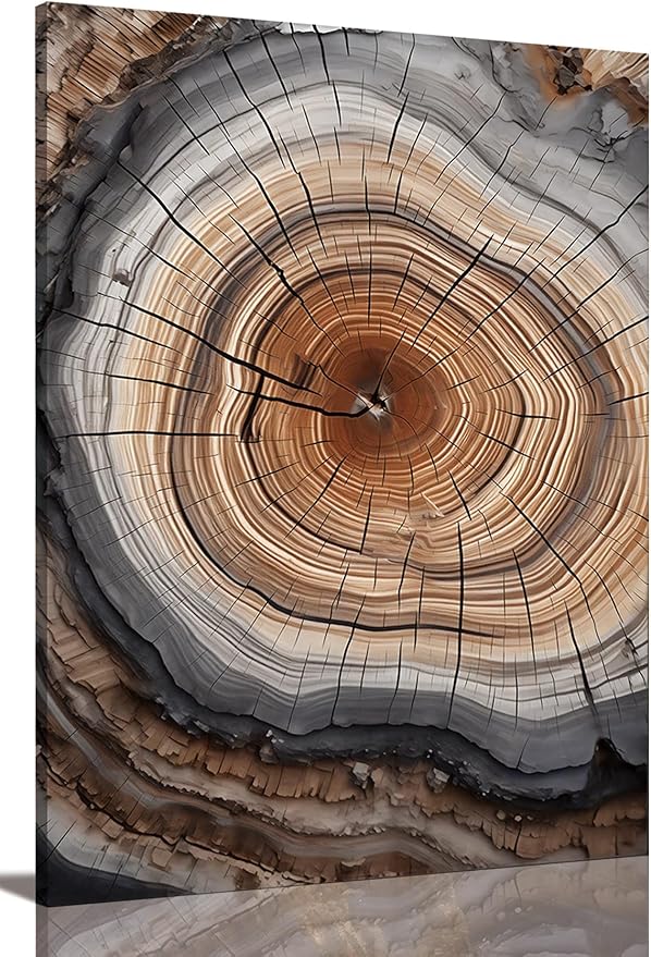 IBHJSART Framed Tree Ring Canvas Wall Art Abstract Colorful Wood Stump Decor Painting Prints Modern Minimalist Pictures Neutral Nature Rustic Farmhouse Living Room Bedroom Bathroom Office