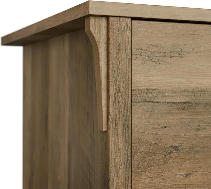 Bush Home Salinas 2 Drawer Lateral File Cabinet in Reclaimed Pine, Home Office Storage Solution, Organizer with Drawers for Workspace, Filing Unit