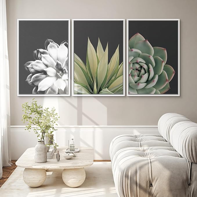 SIGNWIN Framed Wall Art Print Set Echeveria Succulent Variety Nature Plants Photography Modern Art Closeup Relax/Calm Dark Black and White for Living Room, Bedroom, Office - 24"x36"x3 White