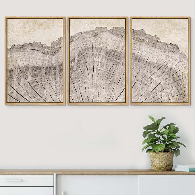 SIGNWIN Framed Canvas Print Wall Art Set Retro Close Up Oak Wood Tree Rings Nature Wilderness Illustrations Modern Art Decorative Farmhouse Zen for Living Room, Bedroom, Office - 24"x36"x3 Natural