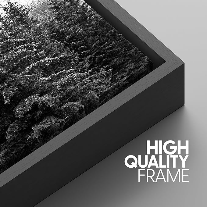 SIGNWIN 3 Piece Framed Canvas Wall Art Woodland Nursery Decor Black and White Forest Photo Nature Illustrations Abstract Traditional Home Artwork Decoration for Living Room,Bedroom - 24"x36"x3 Black