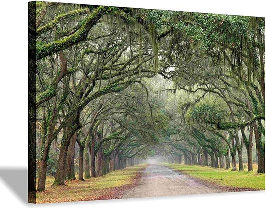 Hardy Gallery Green Forest Landscape Wall Art: Nature Canvas Oak Tree Lined Road of Savannah Artwork Picture Large Painting for Home Wall Decor (45'' x 30'' x 1 Panel)