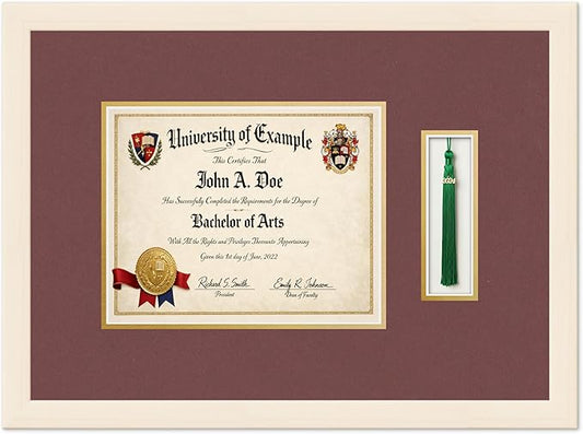 Diploma and Tassel Frame Fits 10 x 8 Professional License with Tassel H Coastal Whitewash Genuine Hardwood Shadowbox with Dark Red Over Metallic Gold Double mat