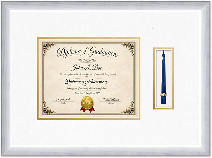 Diploma Frame with Tassel Holder 20.25 x 15 Stainless Silver Shadowbox Oyster Shell Over Gold Mat - Fits 10 x 8 Degree Made in the USA