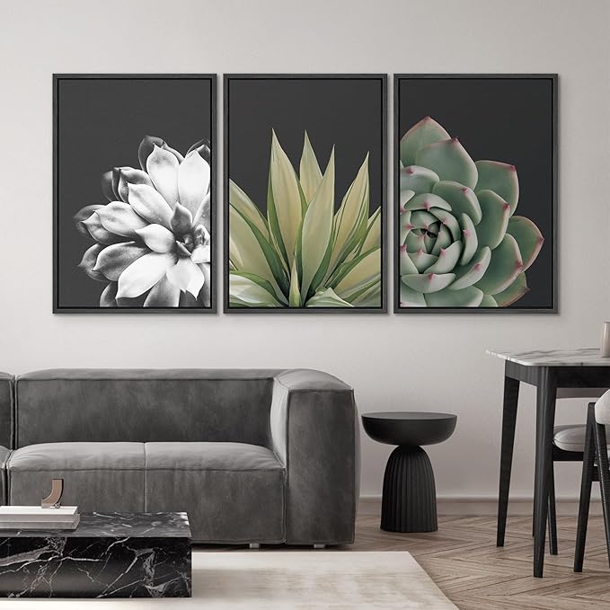 SIGNWIN Framed Wall Art Print Set Echeveria Succulent Variety Nature Plants Photography Modern Art Closeup Relax/Calm Dark Black and White for Living Room, Bedroom, Office - 24"x36"x3 Black