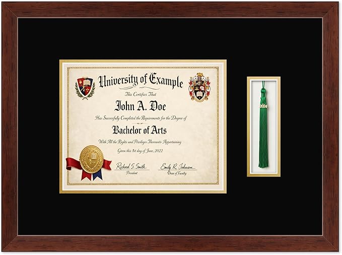 CountryArtHouse Diploma and Tassel Frame Fits 10 x 8 Professional License with Tassel Hook Rustic Walnut Genuine Hardwood Shadowbox with Black Over Metallic Gold Double mat