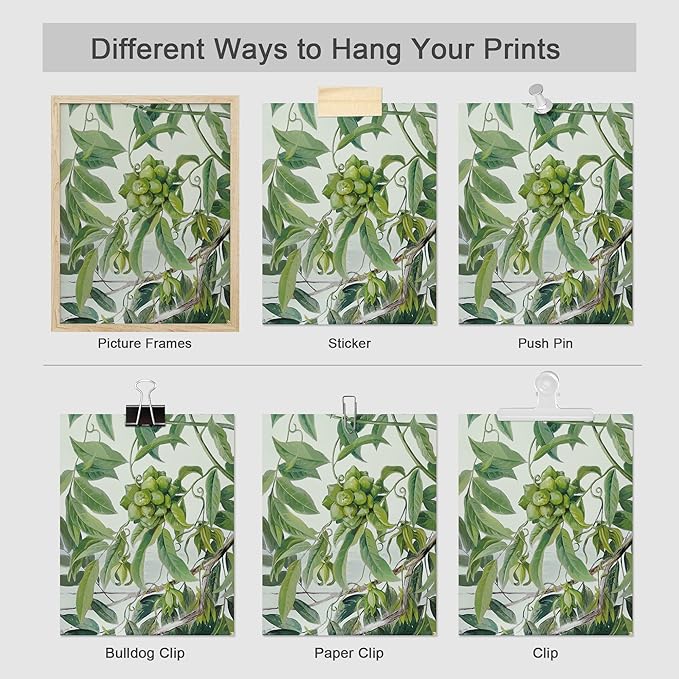 SIGNWIN Adhesive Canvas Poster Bathroom Decor, Wall Art Room Decor Multicolor for Living Room, Bedroom, Office Botanical Floral Garden Zen Flower Classic Vintage Illustrations Bohemian - 12"x16"x 8