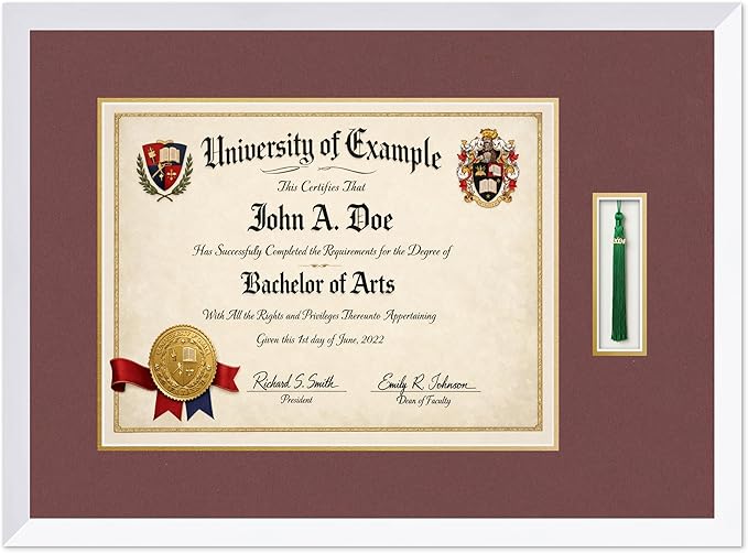 CountryArtHouse Diploma and Tassel Frame Fits 17 x 13 International Diploma with Tassel Hook Bright White Genuine Hardwood Shadowbox with Dark Red Over Metallic Gold Double mat