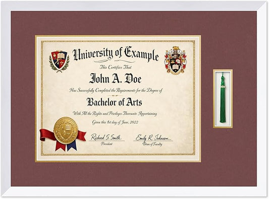 CountryArtHouse Diploma and Tassel Frame Fits 17 x 13 International Diploma with Tassel Hook Bright White Genuine Hardwood Shadowbox with Dark Red Over Metallic Gold Double mat