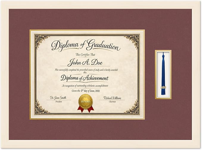 Diploma Frame with Tassel Holder Coastal Whitewash Shadowbox Dark Red Over Gold Mat - Fits 14 x 11 Degree Made in the USA