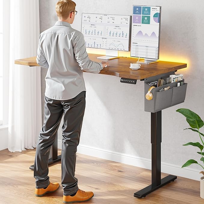 EnHomee Gaming Desk with LED Lights,Computer Desk Adjustable Electric Standing Height Office Desk with 3 Memory Preset,Storage Side Pocket and Cable Management,Rustic Brown，48 x 24 Inch