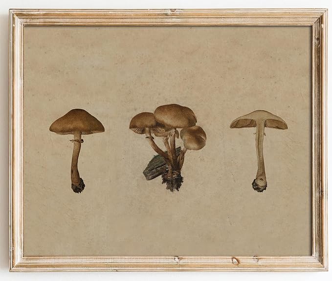 Kizbok Vintage Mushroom Wall Art Poster, Farmhouse Mushroom Wall Decor, Retro Botanical Paintings Cottagecore Room Decor Aesthetic, Neutral Earthy mushroom Picture for Kitchen Bedroom Gallery Nursery Home decor(8" x 10"-UNFRAMED)