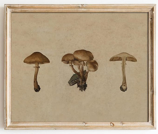 Kizbok Vintage Mushroom Wall Art Poster, Farmhouse Mushroom Wall Decor, Retro Botanical Paintings Cottagecore Room Decor Aesthetic, Neutral Earthy mushroom Picture for Kitchen Bedroom Gallery Nursery Home decor(8" x 10"-UNFRAMED)