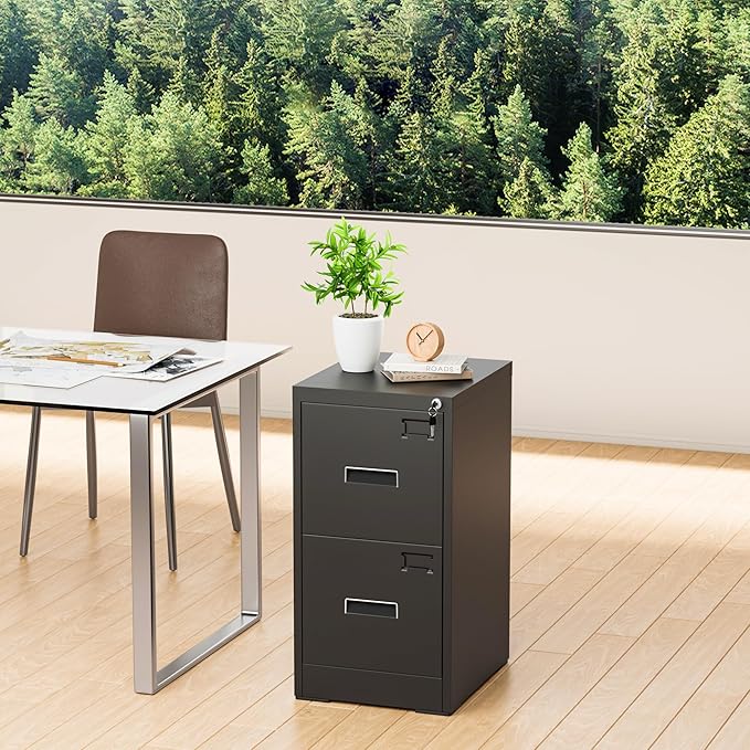 Greenvelly Metal 2 Drawer File Cabinet, Vertical File Cabinet with Lock, Locking Filing Cabinets for Home Office, Letter/Legal/A4/F4 Size/Anti-Tip (Black)
