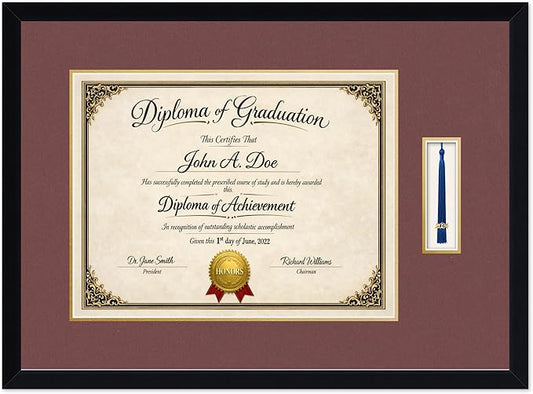 Diploma Frame with Tassel Holder Matte Black Shadowbox Dark Red Over Gold Mat - Fits 17 x 13 Degree Made in the USA