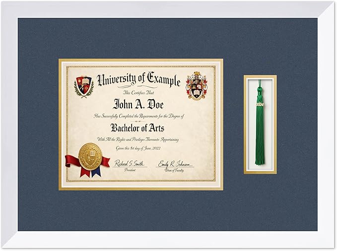 CountryArtHouse Diploma and Tassel Frame Fits 10 x 8 Professional License with Tassel Hook Bright White Genuine Hardwood Shadowbox with Navy Blue Over Metallic Gold Double mat