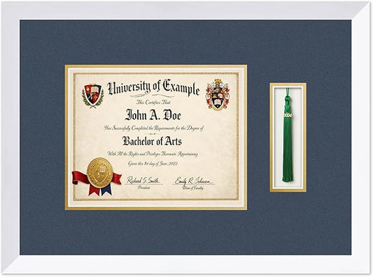 CountryArtHouse Diploma and Tassel Frame Fits 10 x 8 Professional License with Tassel Hook Bright White Genuine Hardwood Shadowbox with Navy Blue Over Metallic Gold Double mat