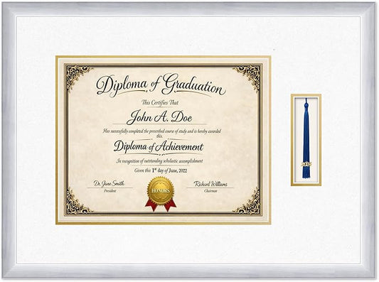 Diploma Frame with Tassel Holder 24.25 x 18 Stainless Silver Shadowbox Oyster Shell Over Gold Mat - Fits 14 x 11 Degree Made in the USA