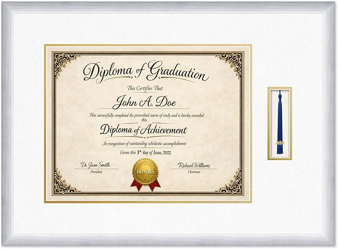Diploma Frame with Tassel Holder 27.25 x 20 Stainless Silver Shadowbox Oyster Shell Over Gold Mat - Fits 17 x 13 Degree Made in the USA