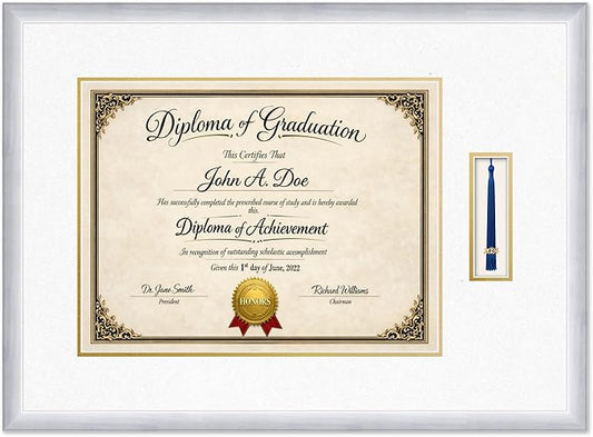 Diploma Frame with Tassel Holder 27.25 x 20 Stainless Silver Shadowbox Oyster Shell Over Gold Mat - Fits 17 x 13 Degree Made in the USA