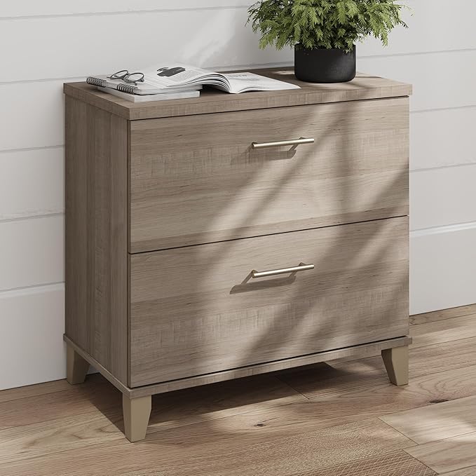 Bush Home 2 Drawer Lateral File Cabinet, Letter and Legal-Size Document Storage for Home or Professional Office, Somerset Collection, Ash Gray