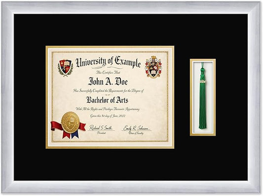 CountryArtHouse Diploma and Tassel Frame Fits 10 x 8 Professional License with Tassel Hook Stainless Silver Genuine Hardwood Shadowbox with Black Over Metallic Gold Double mat
