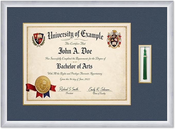 CountryArtHouse Diploma and Tassel Frame Fits 17 x 13 International Diploma with Tassel Stainless Silver Genuine Hardwood Shadowbox with Navy Blue Over Metallic Gold Double mat