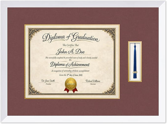 Diploma Frame with Tassel Holder Bright White Shadowbox Dark Red Over Gold Mat - Fits 14 x 11 Degree Made in the USA