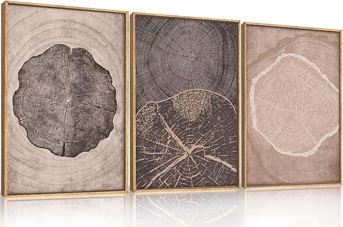 HOURIA Neutral Brown Tree Rings Framed Canvas Wall Art Set,Modern Beige Tan Wood Stump Wall Decor,Vintage Abstract Tree Spiral Art Print,Nature Black Artwork for Living Room,Bedroom,Office- 24"x36"x3