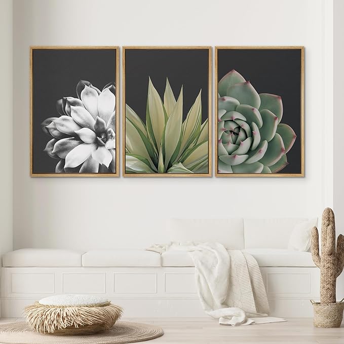SIGNWIN Framed Wall Art Print Set Echeveria Succulent Variety Nature Plants Photography Modern Art Closeup Relax/Calm Dark Black and White for Living Room, Bedroom, Office - 16"x24"x3 Natural
