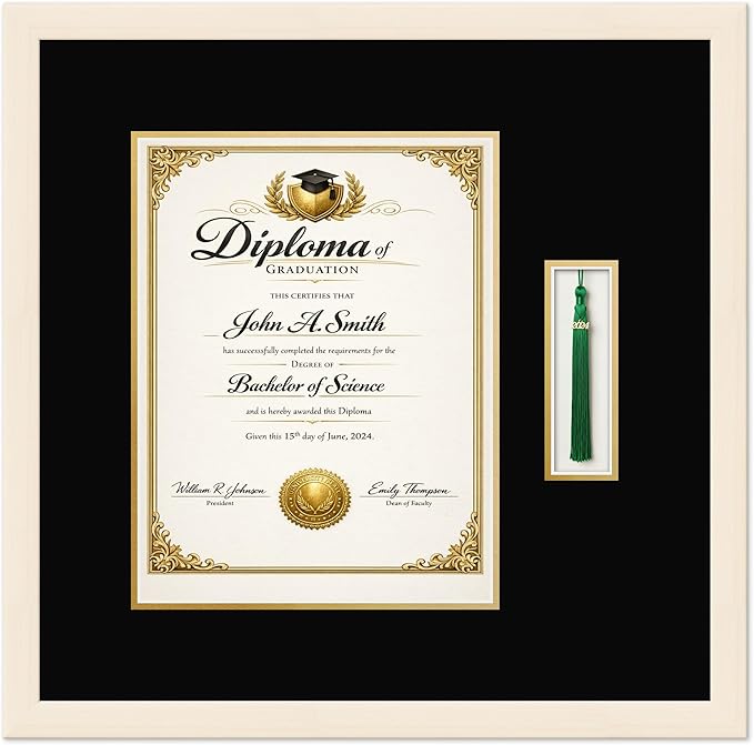 CountryArtHouse Diploma and Tassel Frame Fits 10 x 13 College Diploma (Portrait Traditiona Coastal Whitewash Genuine Hardwood Shadowbox with Black Over Metallic Gold Double mat