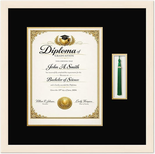 CountryArtHouse Diploma and Tassel Frame Fits 10 x 13 College Diploma (Portrait Traditiona Coastal Whitewash Genuine Hardwood Shadowbox with Black Over Metallic Gold Double mat