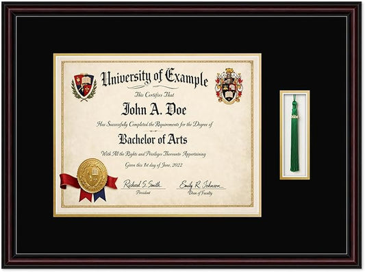 CountryArtHouse Diploma and Tassel Frame Fits 14 x 11 College Diploma (Modern) with Tassel H Executive Brown Genuine Hardwood Shadowbox with Black Over Metallic Gold Double mat