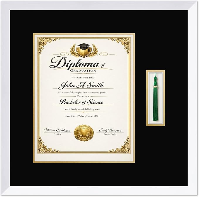 CountryArtHouse Diploma and Tassel Frame Fits 11 x 14 College Diploma (Portrait) with Tassel Ho Bright White Genuine Hardwood Shadowbox with Black Over Metallic Gold Double mat