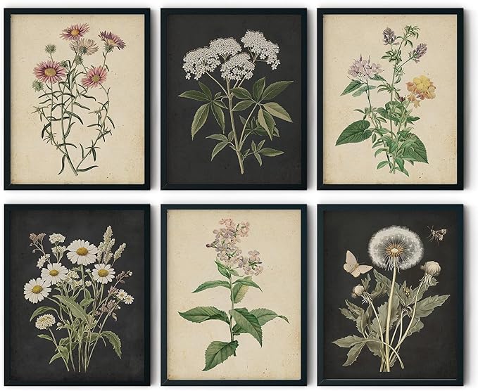 CEXYLVXR 6Pcs Vintage Botanical Wall Art Set Wildflower Herb Canvas Prints Rustic Farmhouse Wall Decor Pictures Dark Botanical Floral Painting for Living Room Bedroom Bathroom (8x10in Posters)