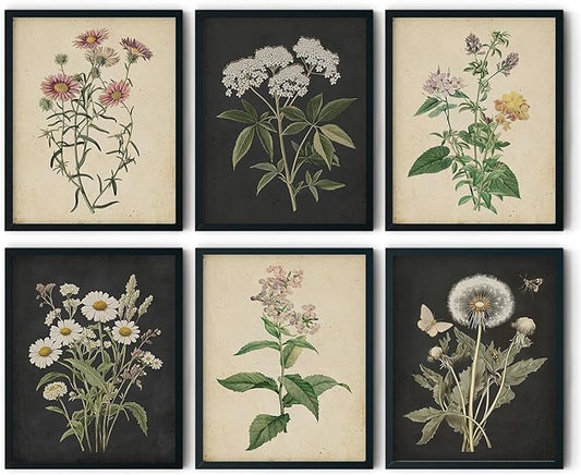 CEXYLVXR 6Pcs Vintage Botanical Wall Art Set Wildflower Herb Canvas Prints Rustic Farmhouse Wall Decor Pictures Dark Botanical Floral Painting for Living Room Bedroom Bathroom (8x10in Posters)