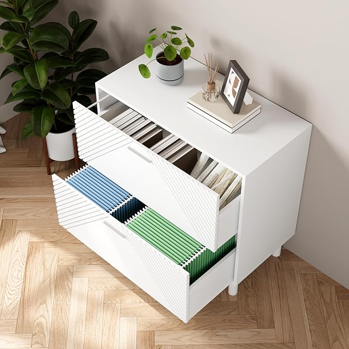 2 Drawer File Cabinet, Lateral Filing Cabinet for Letter/Legal/A4 Size, File Cabinets for Home Office,Wood File Storage Cabinets Printer Stand with Storage for Home,Office