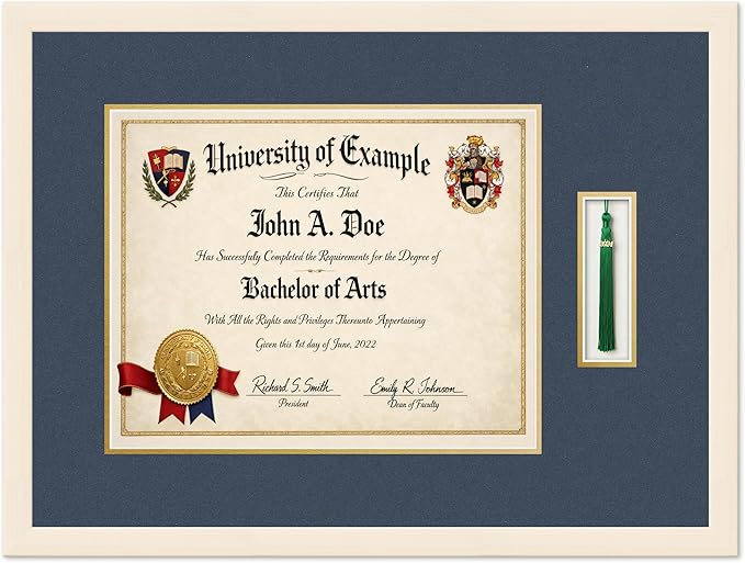 CountryArtHouse Diploma and Tassel Frame Fits 15 x 12 Military/Government with Tassel Coastal Whitewash Genuine Hardwood Shadowbox with Navy Blue Over Metallic Gold Double mat