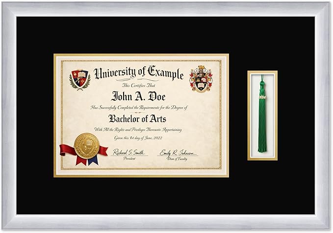 CountryArtHouse Diploma and Tassel Frame Fits 11.69 x 8.27 A4 Certificate with Tassel Ho Stainless Silver Genuine Hardwood Shadowbox with Black Over Metallic Gold Double mat