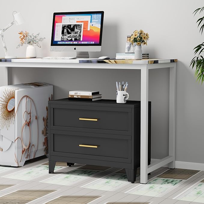 Dresser for Bedroom 2 Drawers, Metal Dresser Chest of Drawers, can be Used as Nightstand, Side Table, Under Desk Steel File Cabinet for Home Office Storage Small Size Files (Black)