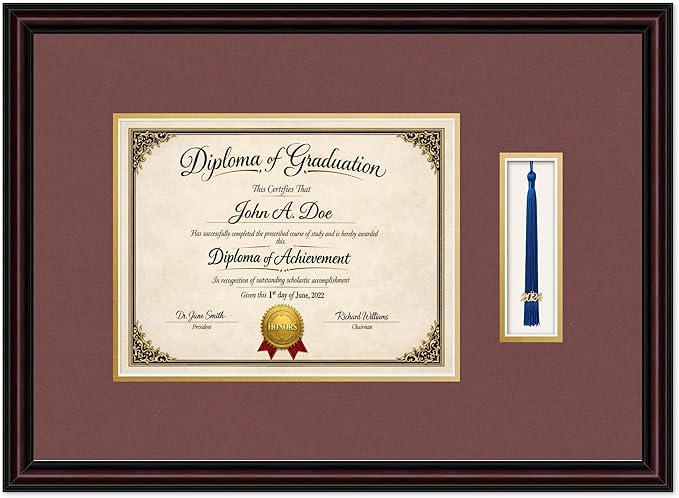 Diploma Frame with Tassel Holder 21.25 x 15.5 Executive Brown Shadowbox Dark Red Over Gold Mat - Fits 11 x 8.5 Degree Made in the USA