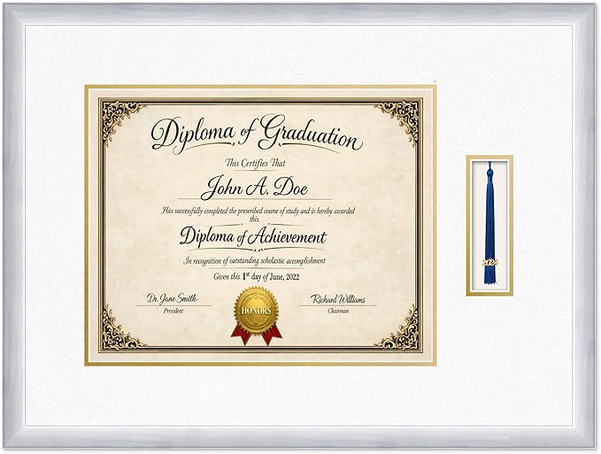 Diploma Frame with Tassel Holder 25.25 x 19 Stainless Silver Shadowbox Oyster Shell Over Gold Mat - Fits 15 x 12 Degree Made in the USA